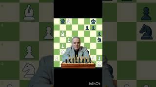 Garry Kasparov brilliancy(2) #chess #shorts #garrykasparov #brilliantmove