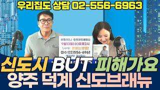 양주 덕계동 신도브래뉴 아파트 전망은? - 여기는 글쎄요... [유튜브 부동산상담]