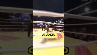 Judo Master Vs Boxer 