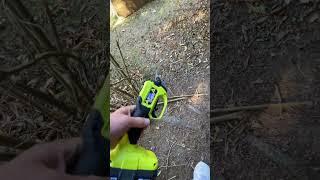 #Ryobi #cordless #pruner test drive