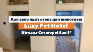 Как выглядит отель для животных Luxy Pet Hotel в Nirvana Cosmopolitan 5*? | tooroom