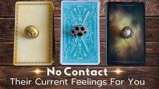 No Contact  Their Current Feelings For You  PICK A CARD Tarot Love Reading Brutally Honest