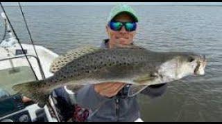 Top 10 Lakes for Trout Fishing in Mississippi 2024