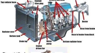 shaniarif auto mechani EFI car AC