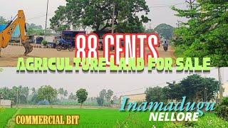 Prime Agricultural Land for Sale | 88 Cents | Roadside Commercial Plot in Inamadugu, Nellore