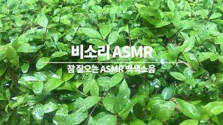 잠 잘오는 비소리 백색소음 ASMR Rain sound