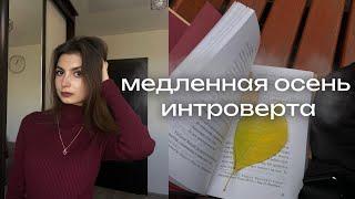 тихая жизнь в одиночестве | комфортный влог, романтизирую осень, рутина, осенние книги и фильмы