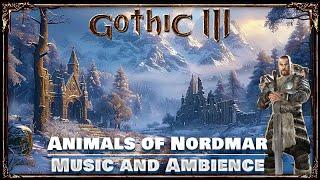 Beautiful Nature of Nordmar | Gothic 3 Ambient Mix | Music & Ambience