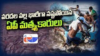 వరదలతో భారీగా నష్టపోయిన AP మత్స్యకారులు | FN24 Headlines | Fishery News Telugu