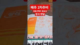 배추 2차추비 비료선택 매우 중요 배추재배방법 #shorts