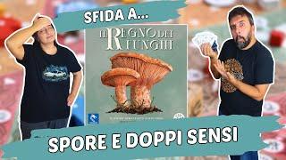 Il Regno dei Funghi Partita Completa al Gioco da Tavolo sulla vita nel bosco