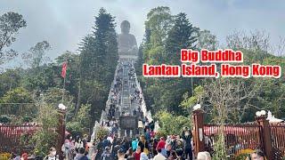 HOW TO GO TO BIG BUDDHA IN LANTAU ISLAND BY BUS | #explore  #hongkong  #bigbuddha