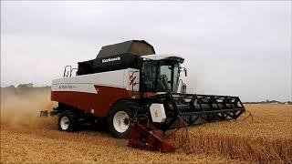 Rostselmash Acros 595 Plus- żniwa 2019