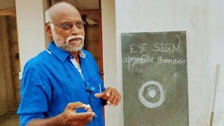 புறாவின் கண்கள் வரைபட விளக்கம் , புறாவின் மூளை கண்கள் , pigeon eye drawing explanation , trichyShaik