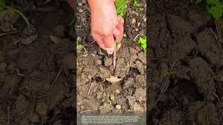 Gardening Tools #smartfarming #gardeningtips #tools