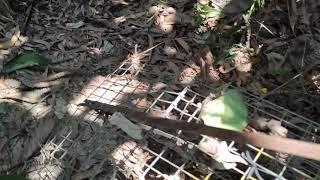 Desa Petaling Hiking Trail. 9th Trail Clearance (last one)
