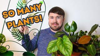 Massive Plant Event! Plant Bargains, Rare Plants and Wishlist Plants