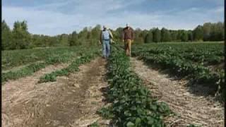 The Joneses - Jones Family Farm, Shelton