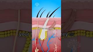 Why Does Hair Turn Grey or white Faster for Some People  #shorts #haircare - Creativelearning3d