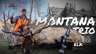 Montana Trio -  Big Bull Elk Down! - 4K.