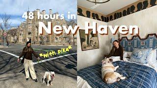 A Weekend in New Haven, CT | eating a lot of pizza , Italian food, and hotel time with the pup