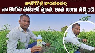 Mirchi Cultivation In Telugu | Nanogold Fertilizer | Micronutrieats | మిరప సాగు