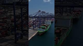#crank #heavy-duty #evergreen #temu #teemu #truck #yardtruck #port #sea #ships #container #loading