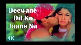 Deewane Dil Ko Jaane Jaa   Shaadi Karke Phas Gaya Yaar   Salman, Shilpa Shetty   Sonu Nigam, Alka Y