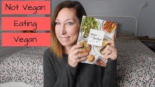 Liv B's Vegan on a Budget Cookbook Review