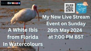 Paul Apps Wildlife Art Stream | Paint a White Ibis in Watercolour  Sunday 26th May 2024, 7:00 PM BST