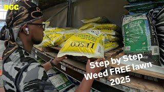 WEED FREE LAWN in 2025 Step by Step