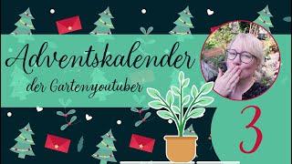  Türchen 3️⃣ Adventskalender der GartenYouTuber 2024 | #garten #verlosung #podcast