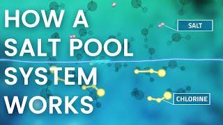 How Does a Pool Salt System Work? -  In 60 Seconds