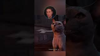 The Game Set Me Up Hard #baldursgate3 #bg3 #funnygameplay #shorts