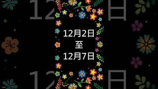 #539聯盟 ｜ 双獨支 _ 12月2日 - 12月7日