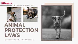 Animal Protection laws | Dog Protection Law | Protection Law for Dog Lovers and Feeders