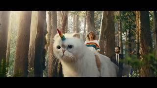 Taylor Swift's Caticorn Adventure