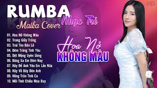 Hoa Nở Không Màu, Trang Giấy Trắng Maika Cover - Tuyệt Phẩm Nhạc Trẻ Rumba 8x 9x Hot Tiktok