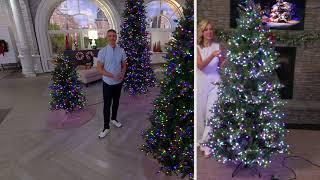 Home Reflections Color Flip Fairy Light Christmas Tree on QVC