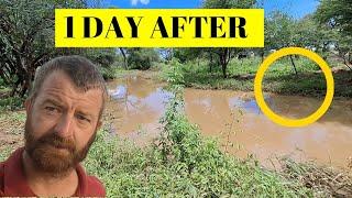 Repairing flood Damage to our permaculture food Forest