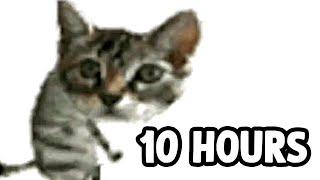 Silly Cat Dance 10 Hours