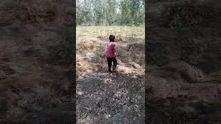 khiladi