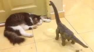 Cat vss Dinosaur