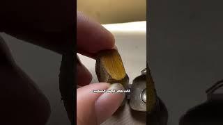 اكتشاف مذهل !