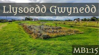 Llysoedd Gwynedd- 1:15 Sarah Woodbury's Medieval Britain