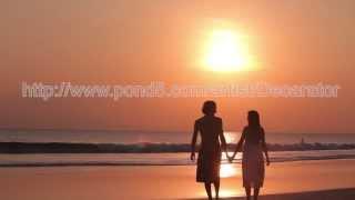 Lovers beach sunset / Professional stock video footage