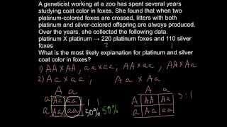 What is the Lethal Allele?