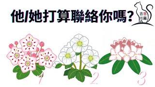 【#2075】【塔罗·字卡·占卜】他/她打算聯絡你嗎？ | 宇宙循环塔罗 | 療愈自我閱讀神諭卡 | 女巫季節指引卡 (無時間限制)