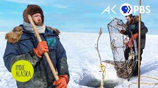 Crabbing beneath the Bering Sea Ice in Nome, Alaska | INDIE ALASKA