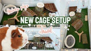 New Guinea Pig Cage Setup + Haul! - Natural C&C Cage 